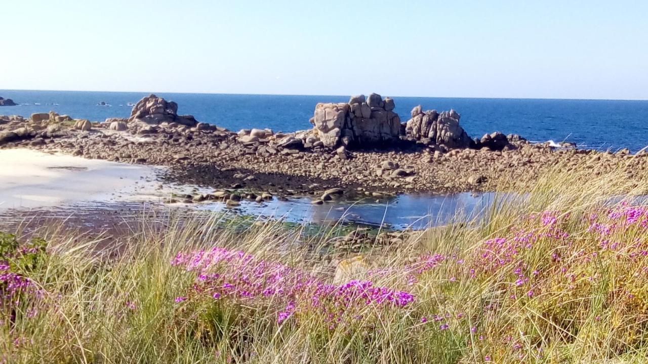 Cléder Tiny House Sur La Cote Bretonneヴィラ エクステリア 写真